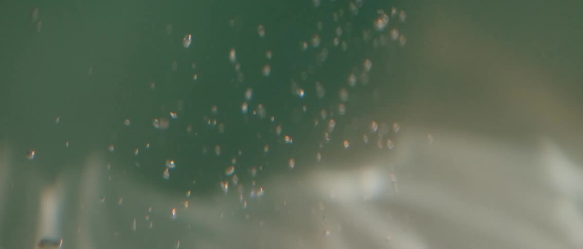 A pair of hands reach downwards into a clear body of water with light refracting and scattering as if from the surface the underwater perspective suggests a serene and immersive experience