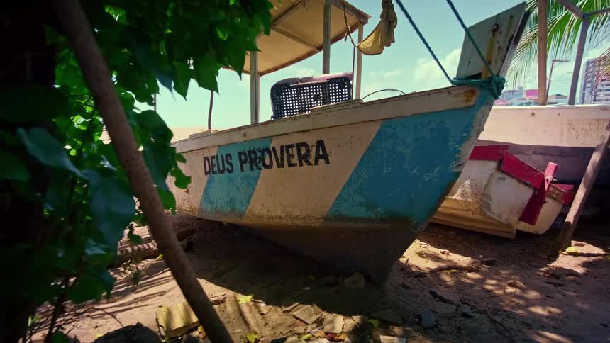 A white and blue boat with the words deus provera painted on its side sits on a sandy shore partially obscured by green leaves in the foreground