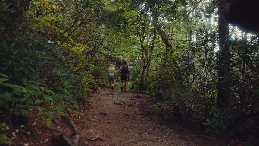 The video shows a man and a woman hiking on a dirt path through a forest they are seen from behind walking away from the camera the forest is dense with green trees and foliage and the ground is covered with roots and rocks