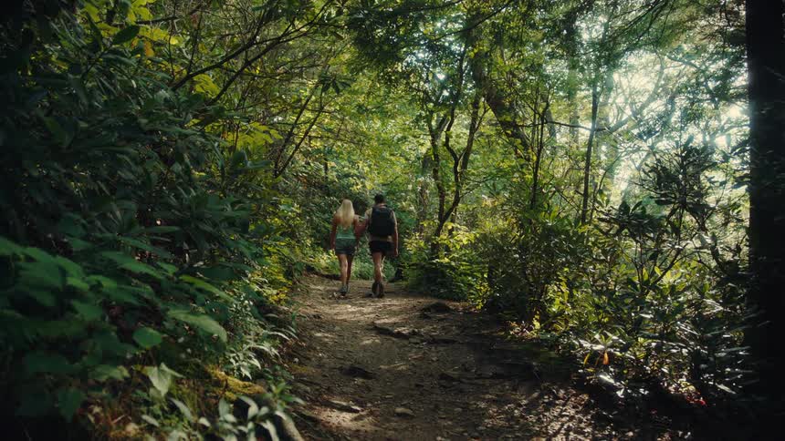Couple walks along a trail surrounded by dense vegetation in a sunlit forest