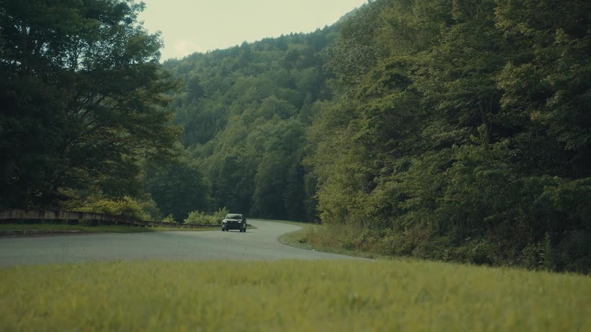 Black car traveling down a road surrounded by trees