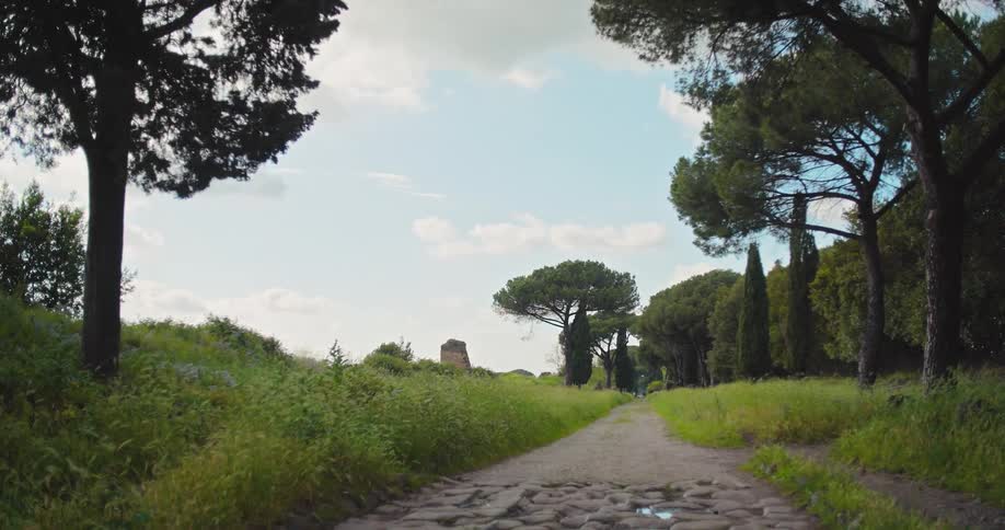 A cobblestone path cuts through lush green grass and tall trees beneath a clear sky