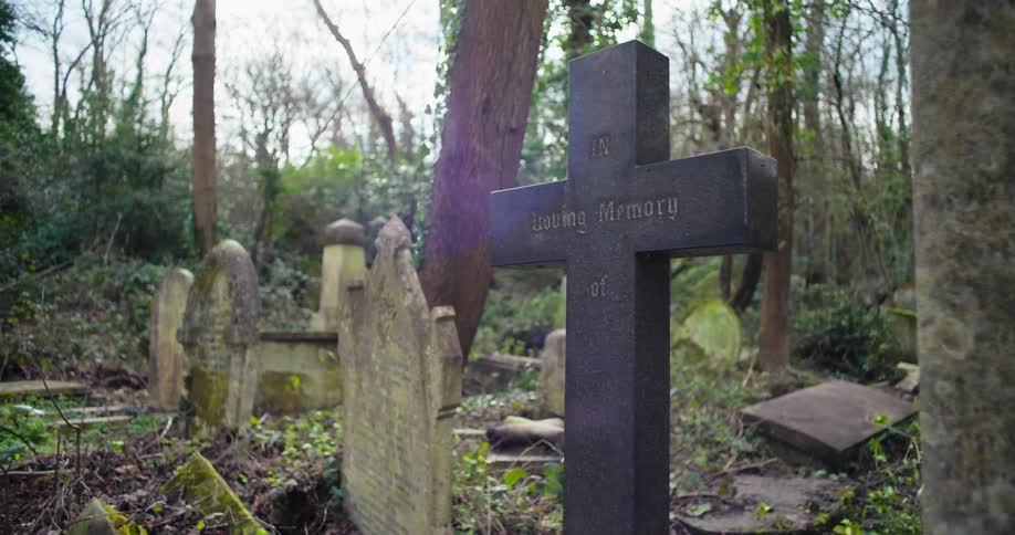 Graves in an area surrounded by trees