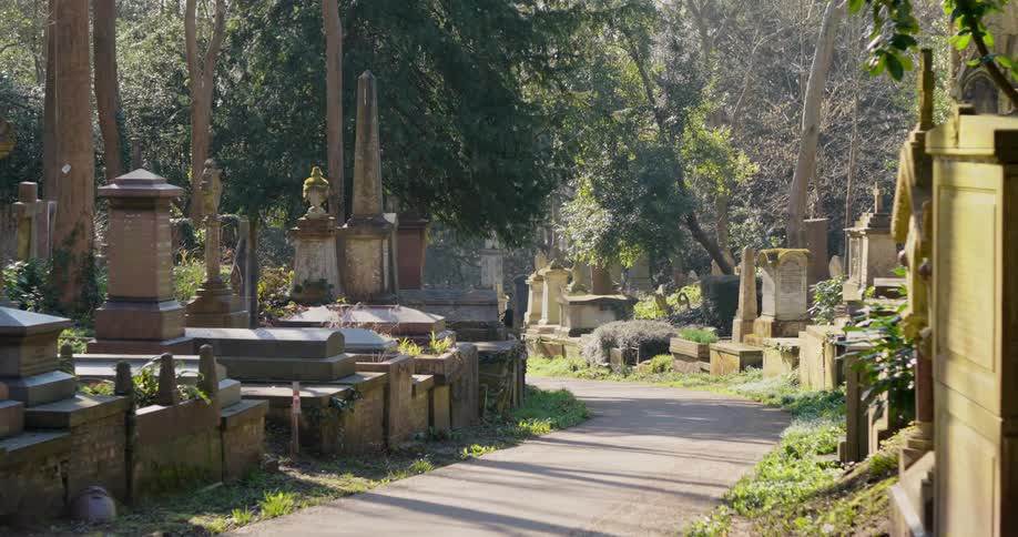 A paved path through a cemetery