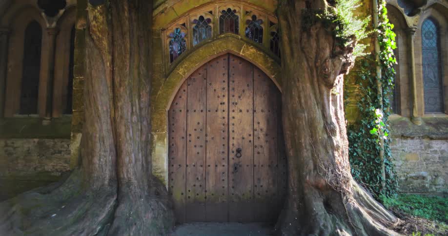 A door leading into a tree believed to be the iconic north door of st edwards church in stowonthewold