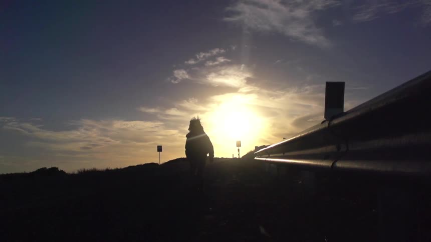 A child running down a highway shoulder next to the guard rail as the sun sets