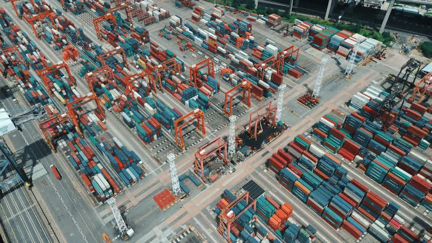 Containers arranged in a port terminal with cargo cranes