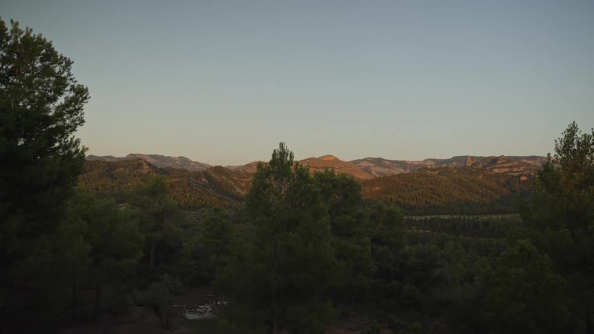 Mountains covered with vegetation seen at sunset with trees in the foreground