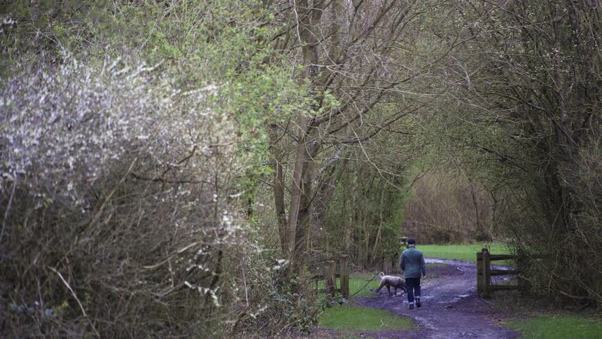 A man and his dog walk down a path