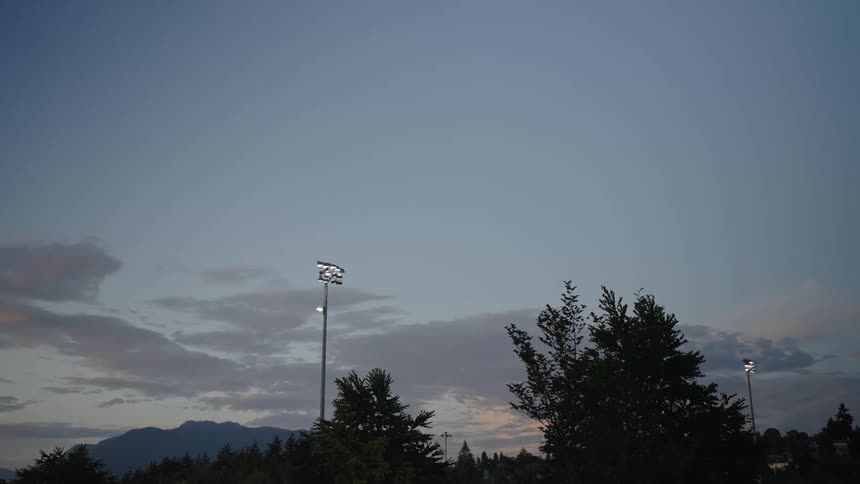 Trees near a lamp post with a mountain in the distance at dusk