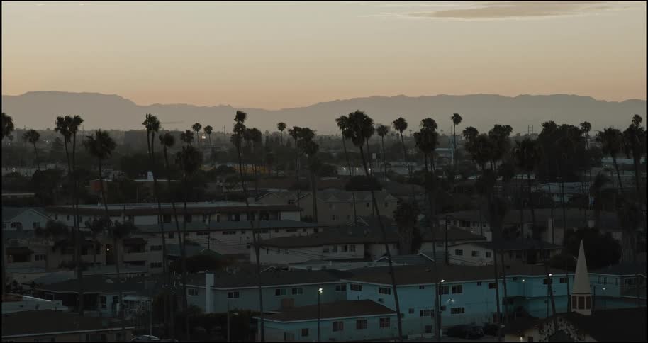 Urban neighborhood with tall palm trees is seen at sunset with mountains in the background
