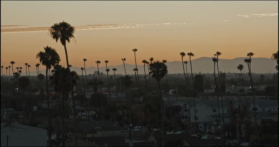 Trees dot the suburban landscape