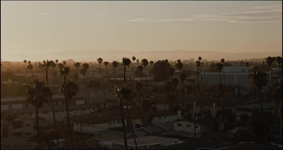 Trees dot the suburban landscape