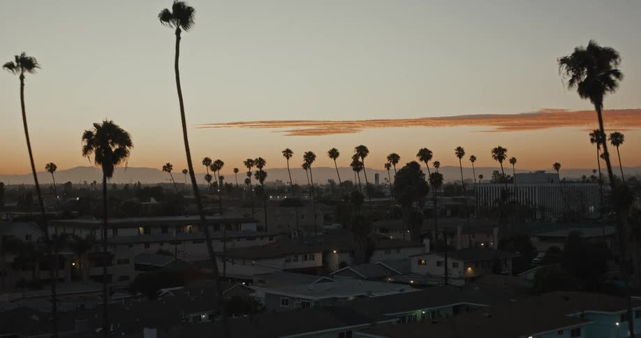Trees dot the suburban landscape