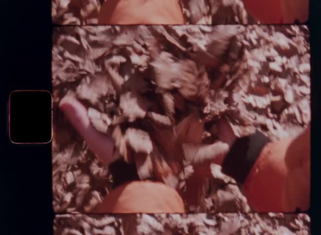 A person in an orange sleeve playfully lifts a bundle of fallen leaves under soft vintagetoned daylight