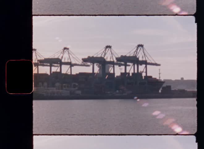 Cranes lined up operate at a seaside port