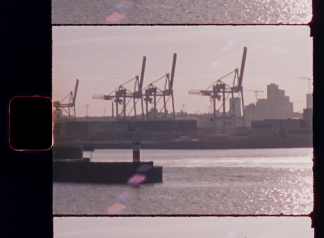 Cranes line the storage harbor