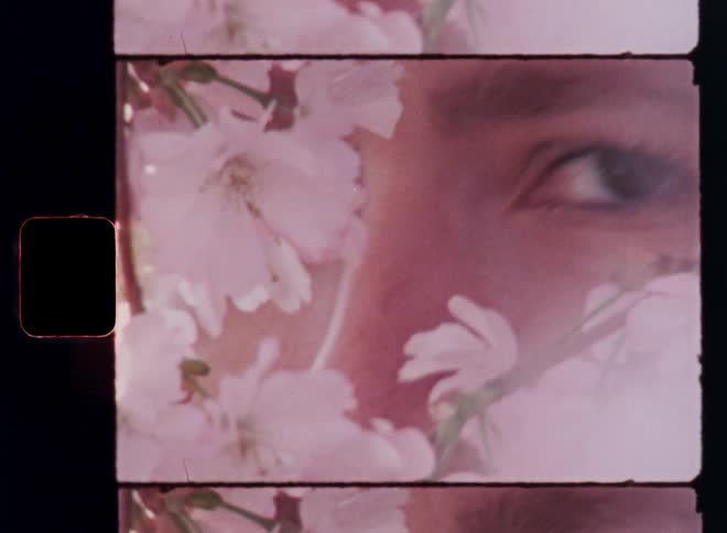 Vintage Super 8mm film shows brown female eyes among light petaled flowers as the young woman closes and opens them looking directly at the camera as the blossoming leaves cover her face