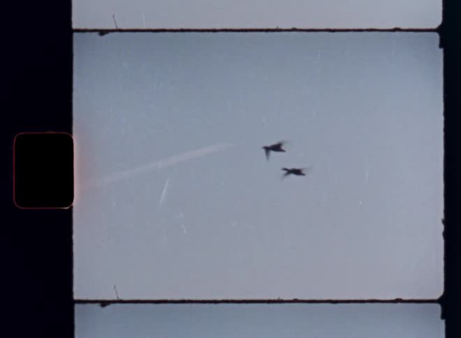 A couple geese flying through the air