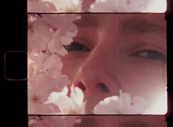 Closeup of female face framed by soft pink flowers on vintage film with determined and slightly arrogant facial expression as her beautiful brown eyes look at the camera