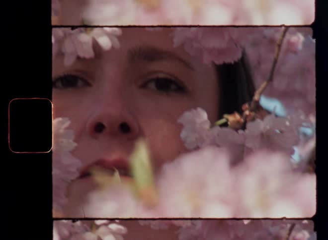 Womans face with a slightly arrogant attitude framed by pink cherry blossoms as the warm sun shines onto her skin creating shadows of the moving leaves during a warm and sunny spring time day