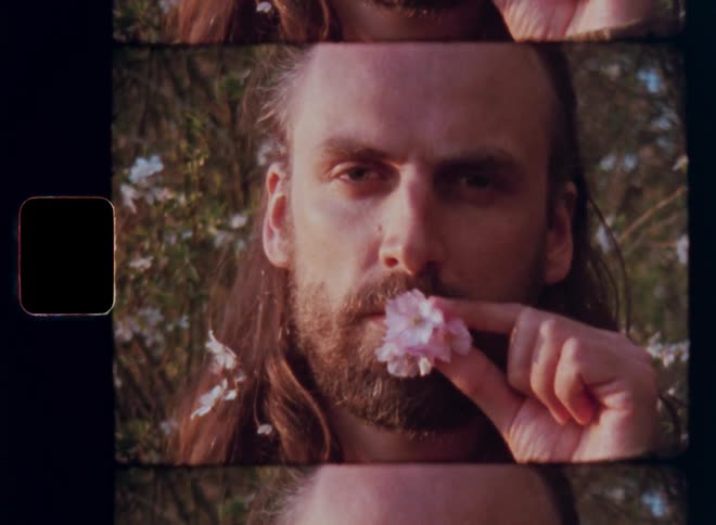 Longhaired bearded man holds a pink flower close to his face and grabs it with his lips while staring at the vintage super 8 camera as the warm spring evening sun shines onto his head surrounded by blossoming plants
