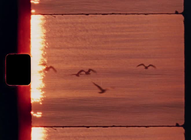 A group of birds glides low over calm ocean waves as the sky glows with a pinkish sunset hue