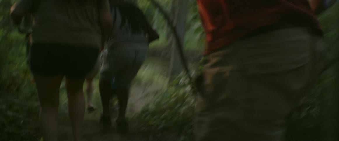 People run by a car into the forest