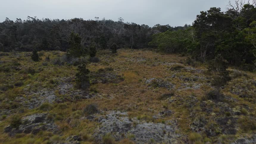 Moving along the uneven terrain