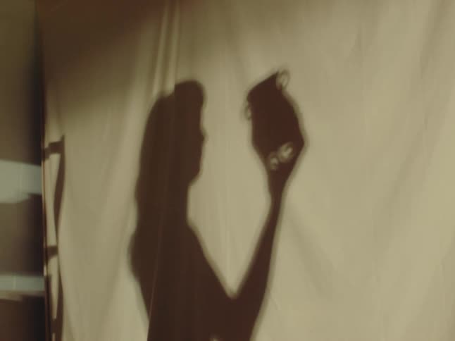 Shadow of a person holding a vase appears projected on a light fabric