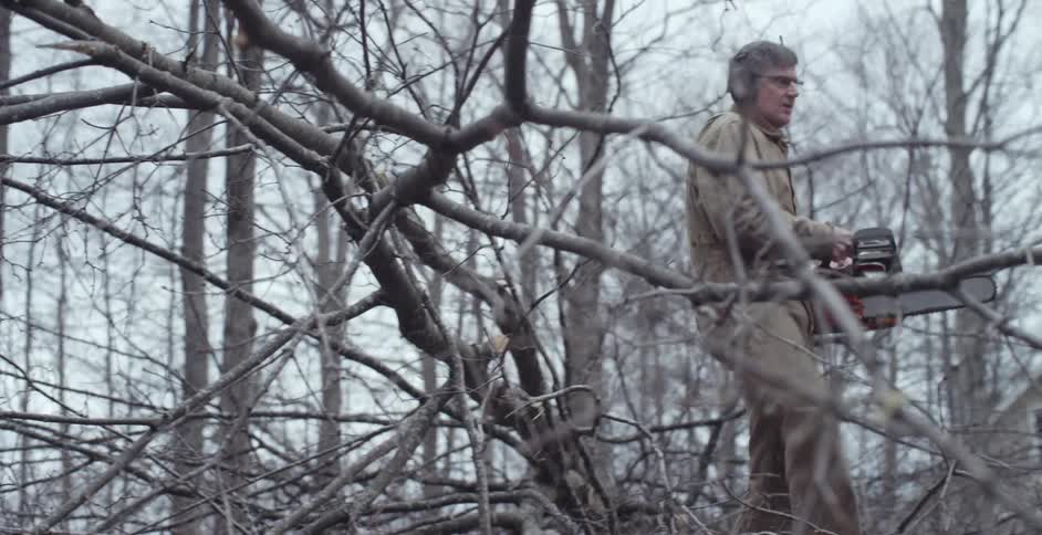 A man uses a chainsaw to cut tree branches