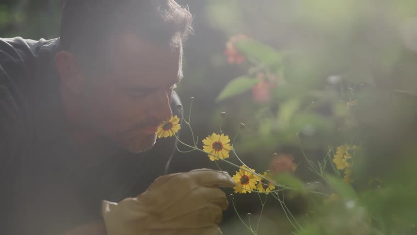 A man wearing a grey shirt and a yellow gardening glove leans in to smell a cluster of small yellow flowers in a sunny garden