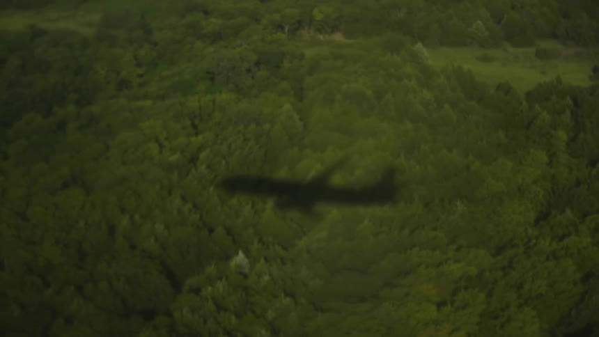 A jet casts a shadow on trees