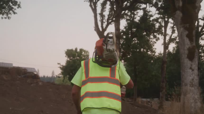 The worker carries the chainsaw towards the tree