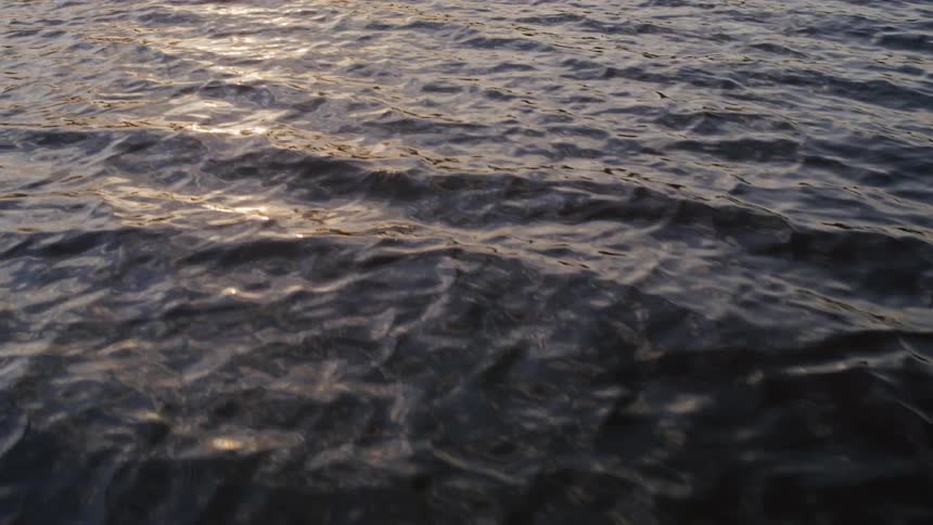 Rippled water surface reflects sunlight