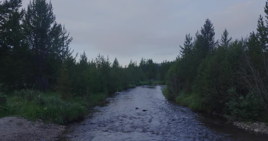 A river cuts through a forest