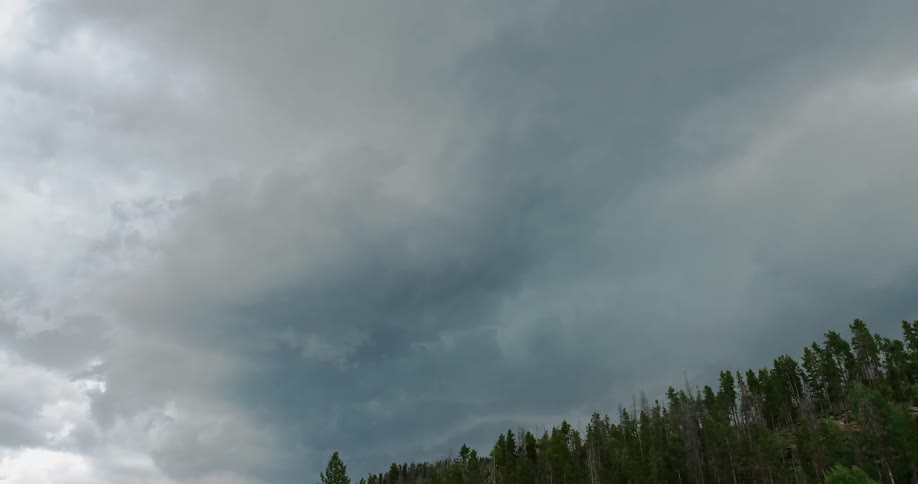 Clouds float and swirl over trees