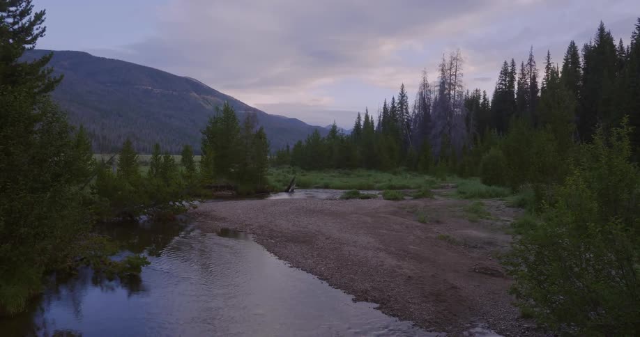 The stream is moving past the field