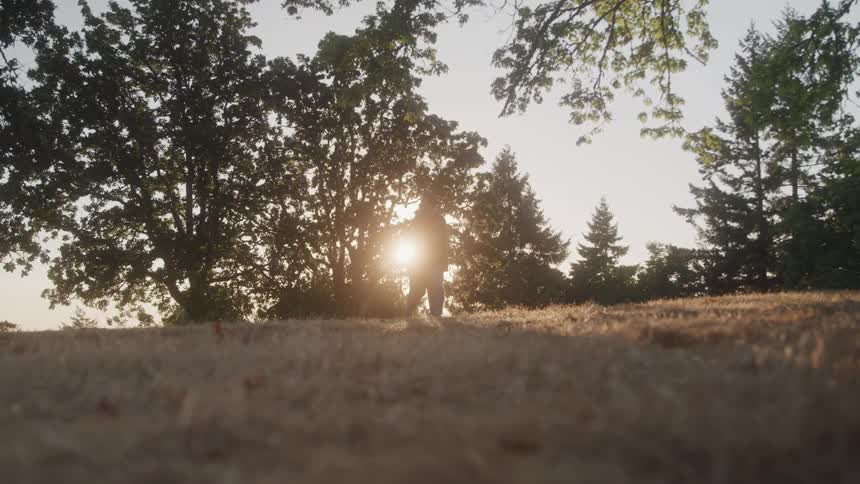 Couple embracing in a field at dusk