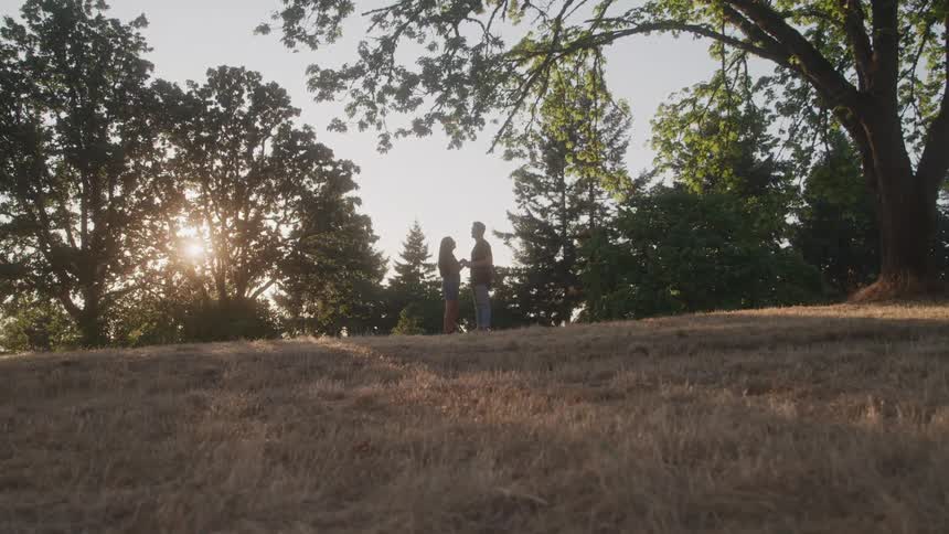 A couple facing each other and holding hands under a beautiful sunset