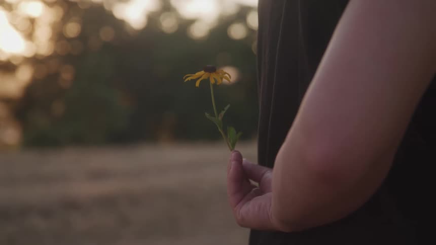 Hand holds a yellow flower hidden behind the back