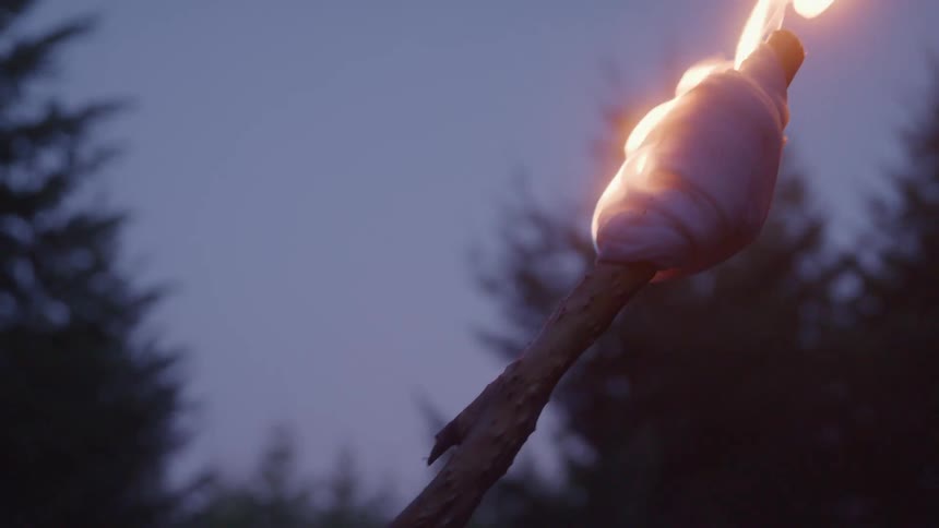 A man walks through the forest holding a flaming torch in the evening