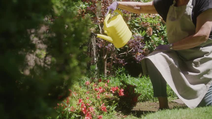 Person kneeling in the garden watering flowers with a yellow watering can