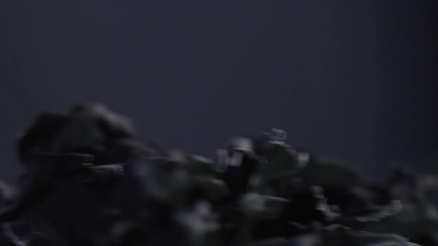 Dark leaves with wavy texture under soft lighting