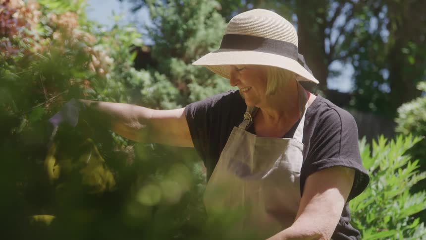 A woman gardener in a straw hat reaches into greenery with a smile under bright sun as she waters plants