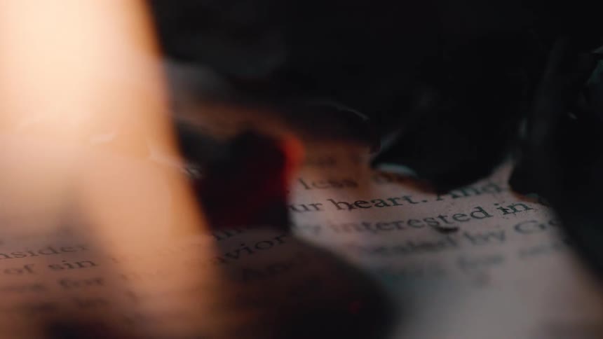 Printed page chars while burning