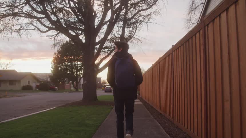 A person walks alone down a suburban street at sunset