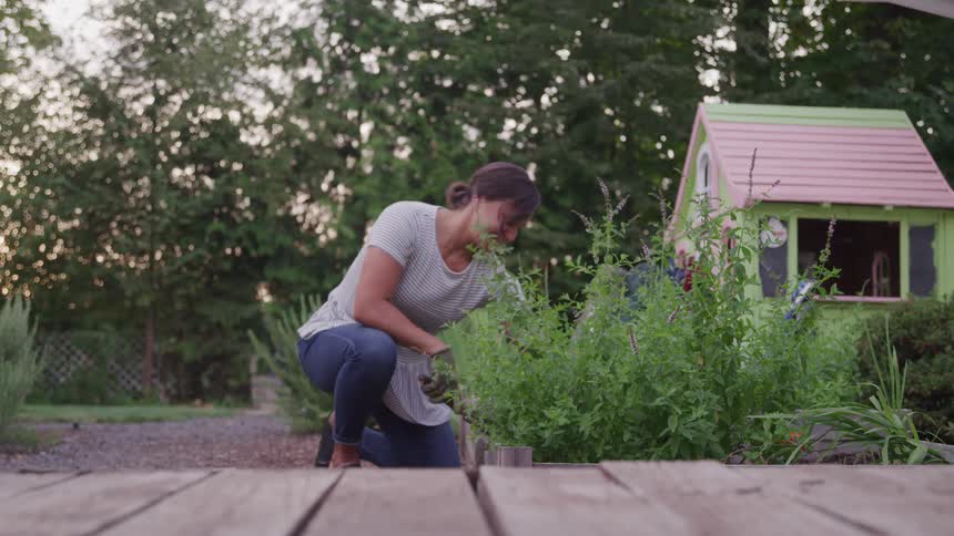 A woman wearing a gray striped tshirt and jeans is kneeling on a path in a backyard garden tending to a lush green plant with a small pink and green playhouse visible in the background