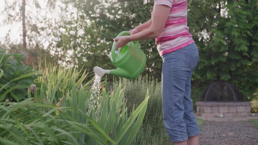 Woman watering plants with a green plastic watering can outdoors