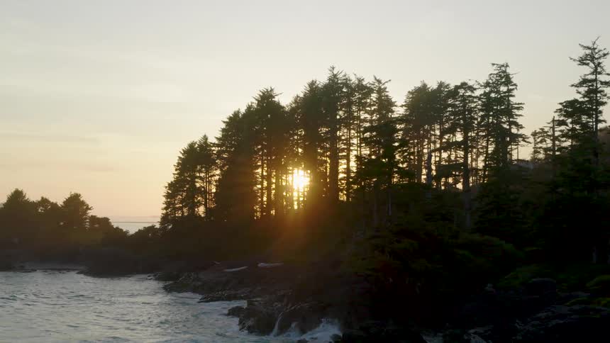 Sun sets behind tall trees on a rocky coastline